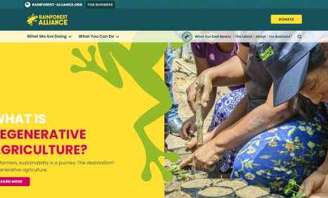 rainforestalliancewebsite
